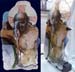 Cristo-(Glass-F)